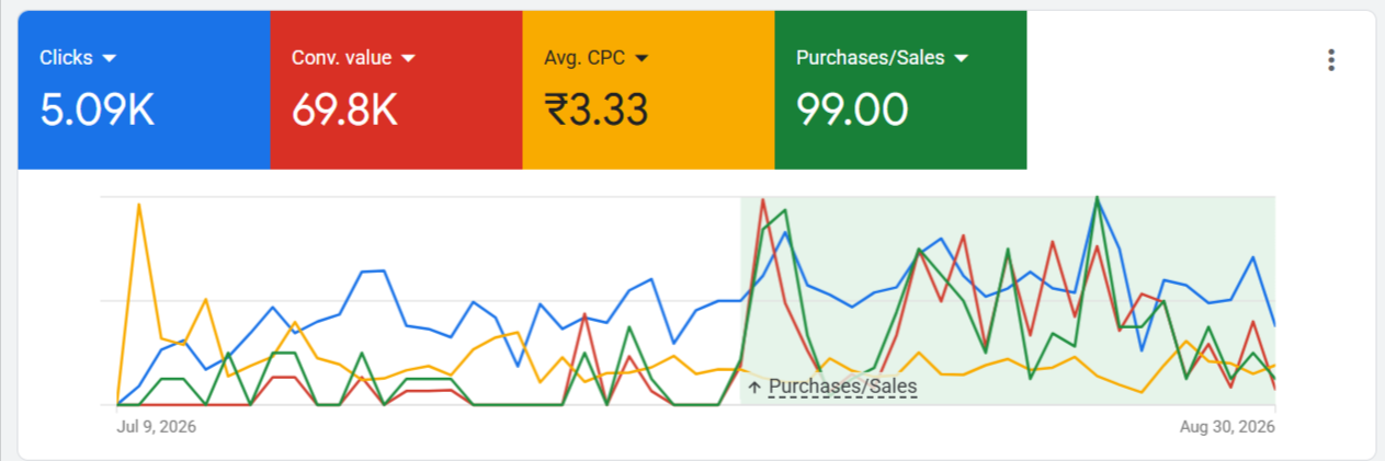 Google Ads Shopping campaign dashboard showing clicks, conversion value, average CPC and purchases